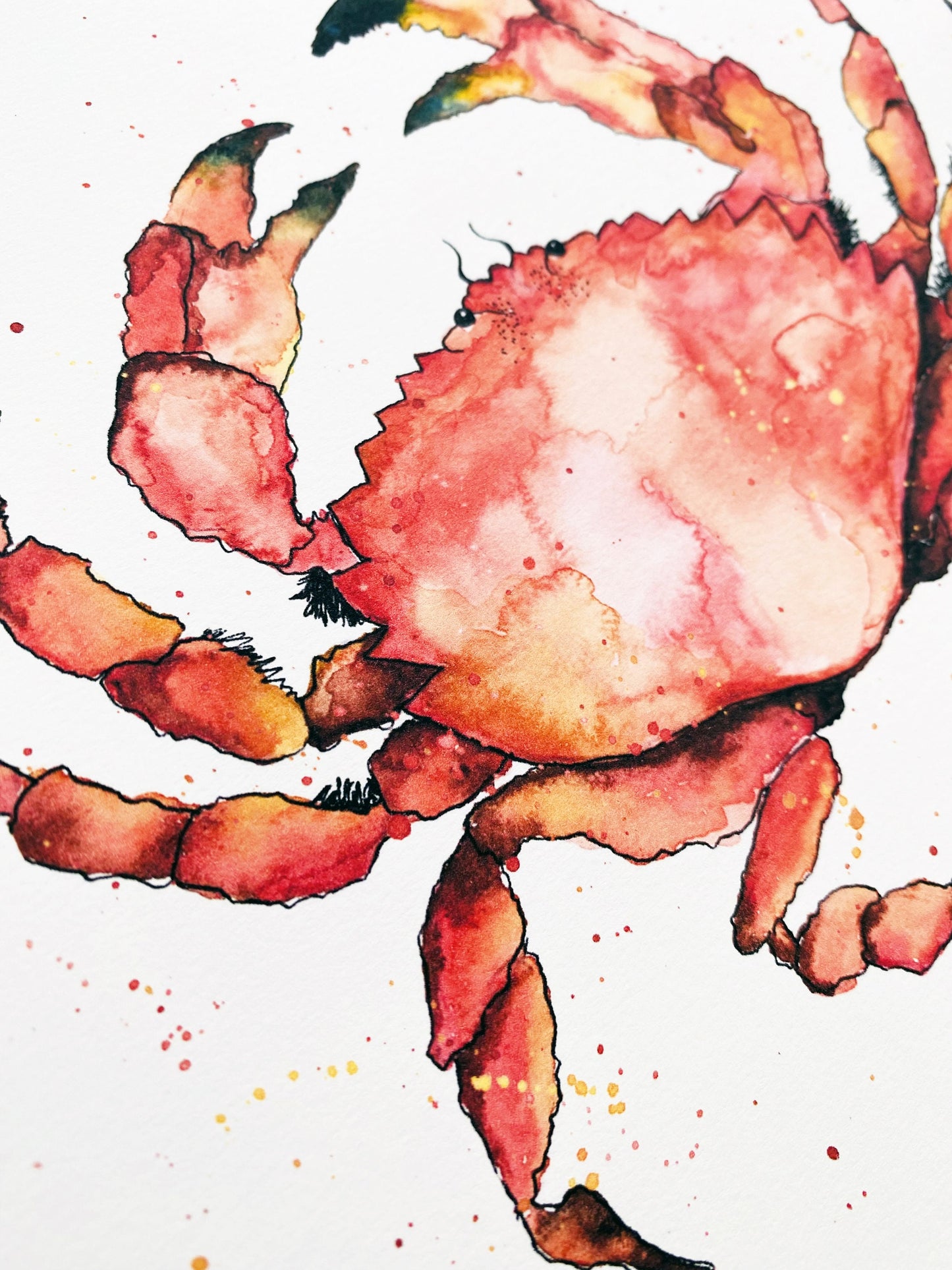 Crab Watercolour Print