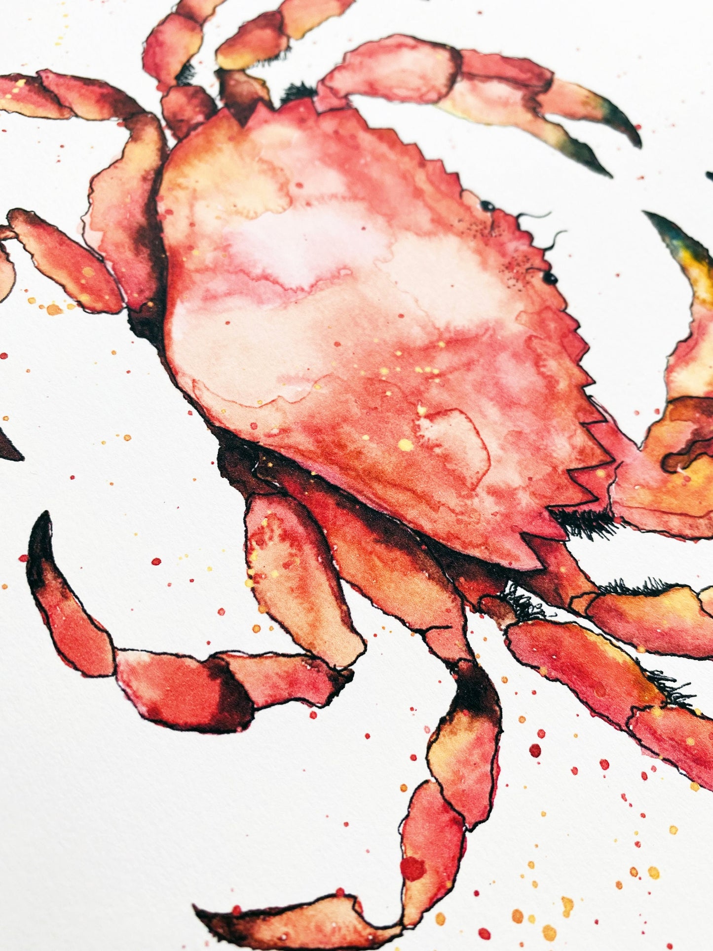 Crab Watercolour Print
